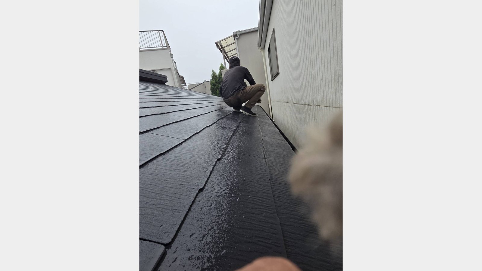 屋根と雨樋の掃除